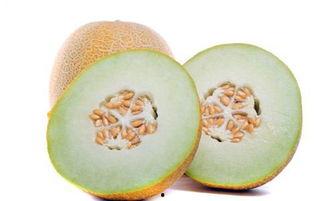 哈密瓜怀孕期间可以吃么