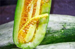 梅龙瓜如何吃