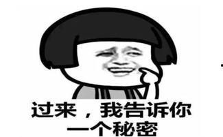 吃瓜群众的机智,揭秘娱乐圈幕后真相