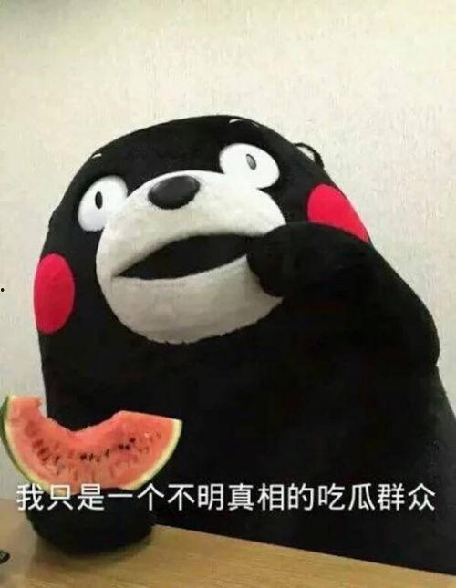 熊本熊吃瓜