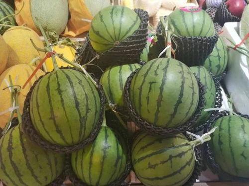 韩城通盛吃瓜,吃瓜群众眼中的美食盛宴