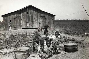 吃瓜吃棉花,揭秘神秘食材背后的故事