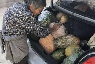 桐乡吃瓜爆料,揭秘当地热点事件背后的真相