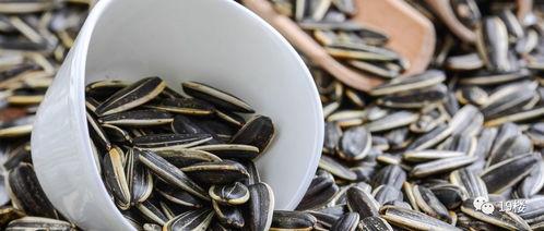 吃瓜看戏嗑瓜子,揭秘娱乐圈的甜蜜陷阱