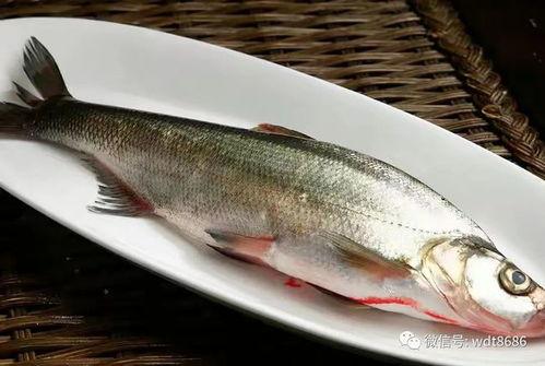 鱼七吃瓜总结,揭秘网络热点的背后故事