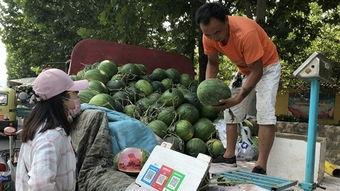 济宁小区吃瓜,邻里吃瓜,共享夏日清凉时光