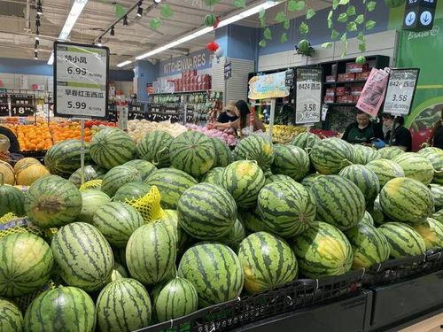 无锡城院吃瓜,校园生活趣味瞬间大揭秘