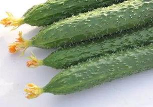 富利吃瓜,揭秘娱乐圈幕后风云