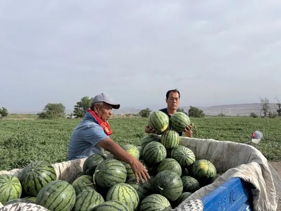日玮吃瓜,揭秘娱乐圈幕后真相