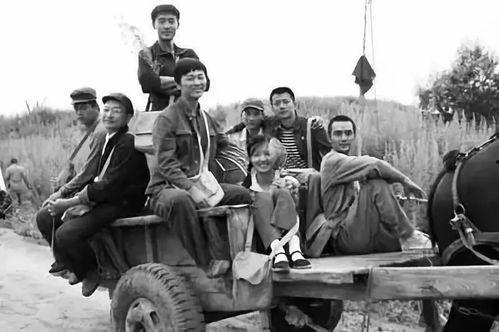 知青吃瓜日常,瓜田里的欢声笑语