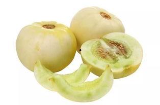 甜瓜网纹瓜怎么吃