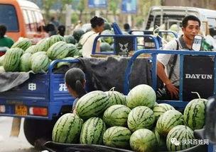 普宁商品城吃瓜,夏日吃瓜盛地，品味潮汕风情