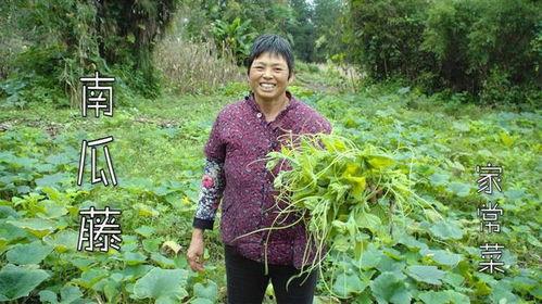 农村吃瓜大妈视频播放