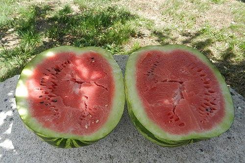 梦到吃棒瓜,揭秘梦中品尝棒瓜的神秘寓意