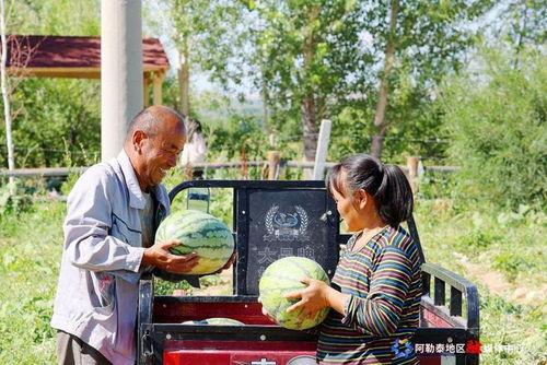 阿勒泰吃瓜缆车,空中观景，畅享夏日清凉新体验