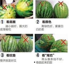 汾阳吃瓜解说,揭秘民间趣味，品味生活百态