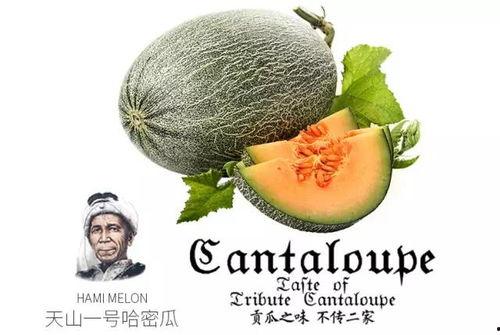 蜜瓜蛋糕吃瓜群众,甜蜜诱惑，吃瓜群众的味蕾盛宴