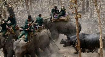 吃瓜观火,吃瓜群众视角下的热点事件深度解析