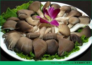 骨折后可以吃焦瓜