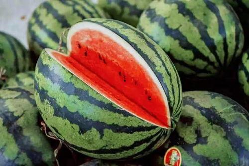 近期吃瓜 合集,盘点那些让人笑到肚子疼的幕后故事