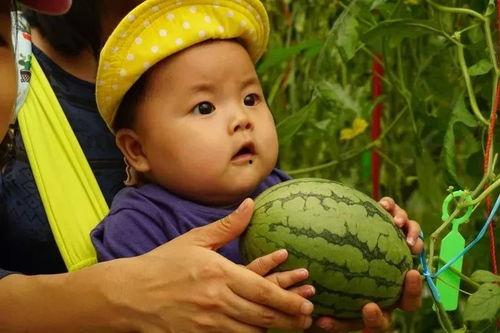 群妞吃瓜,揭秘娱乐圈背后的那些事儿