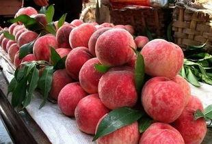 入秋吃桃摸瓜,入秋美食新体验