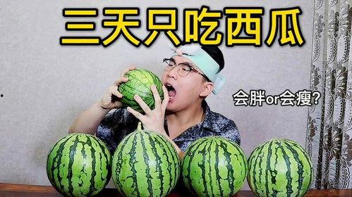 吃瓜减肥快,轻松享“瘦”的神奇饮食秘诀