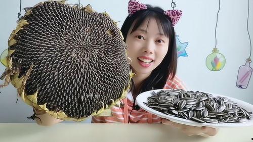 向日葵吃瓜图片,自然界的和谐交响