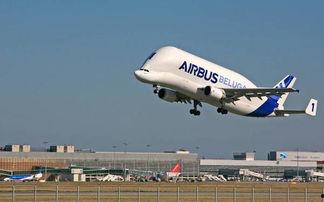 飞机吃瓜,揭秘飞机吃瓜背后的故事