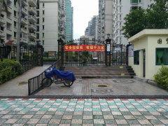 国贸花园吃瓜,吃瓜群众的欢乐盛宴