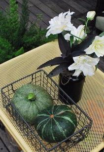 国贸花园吃瓜,吃瓜群众的欢乐盛宴