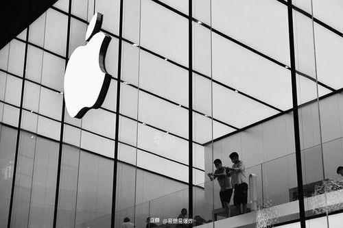 吃瓜路人张先生,揭秘娱乐圈背后的故事