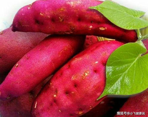 何家吃瓜,揭秘娱乐圈背后的真实故事