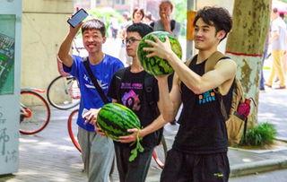 被迫吃瓜学生,学生们的无奈与反思