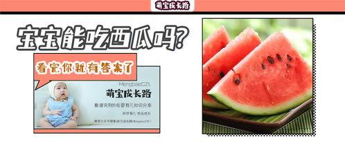 蜜瓜适合婴儿吃么,婴儿辅食中的天然甘露