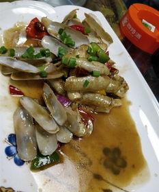 宁德速8吃瓜,吃瓜群众的欢乐聚集地