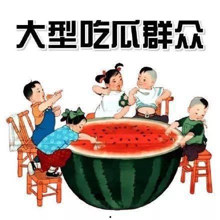 阿茶吃瓜日记