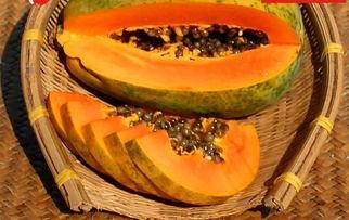 雷州话吃瓜,一场方言文化的趣味解读