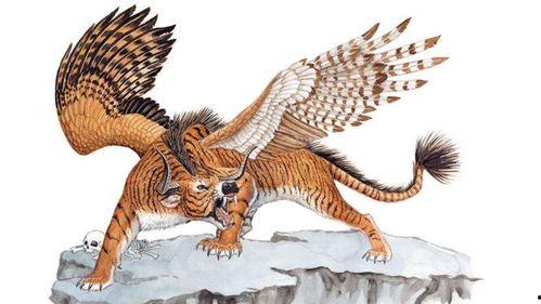 异兽迷城吃瓜,揭秘神秘世界中的吃瓜奇遇记