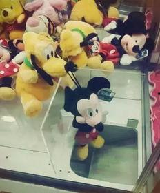 野生玩偶带你吃瓜,野生玩偶带你探索美食瓜界之旅