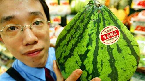 青岛酒店吃瓜,一场别开生面的吃瓜盛宴