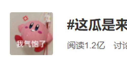 长沙vip吃瓜群众,揭秘网红圈幕后故事