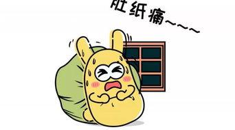 吃瓜群众表哥,揭秘网络红人的幕后故事