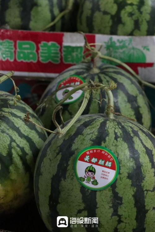 开门大吉吃瓜视频