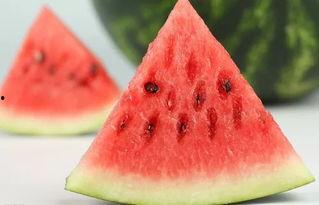 吃瓜西瓜定律,揭秘瓜果界的神奇规律