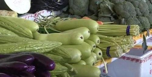 扶手瓜可以吃种子吗,美味与营养的双重享受