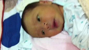 吃瓜玩ipad,畅享iPad智能生活