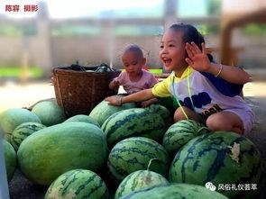 跑瓜地里吃瓜去了,跑瓜地里吃瓜趣事