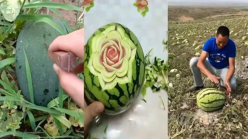 跑瓜地里吃瓜去了,跑瓜地里吃瓜趣事