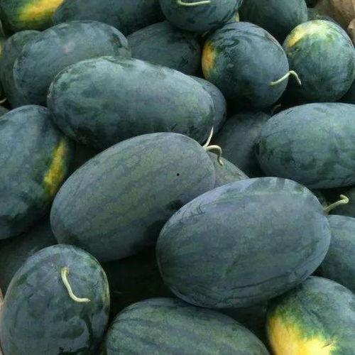 江奈儿吃瓜,揭秘娱乐圈幕后真相